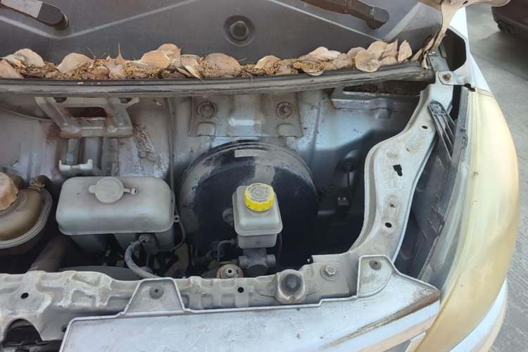 Used Foton Scenic V5 2015 1.2L Standard G12 Engine Bay Left