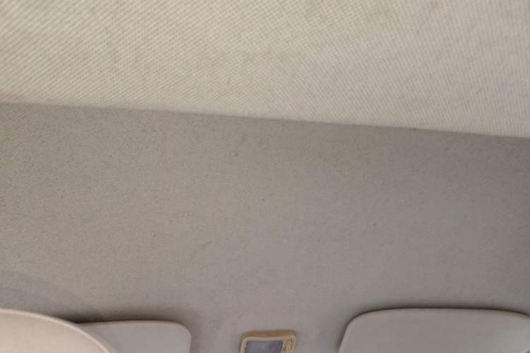 Used Foton Scenic V5  Headliner