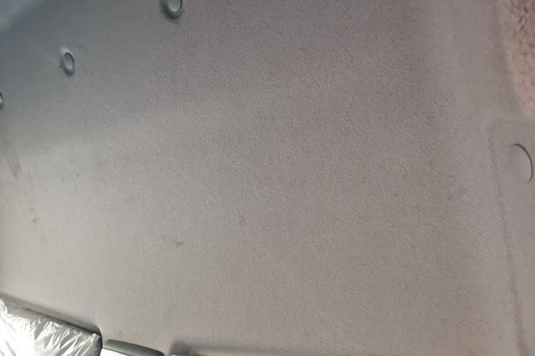 Used Foton Skyworth EV6 2023 Fast-Charging Version Headliner