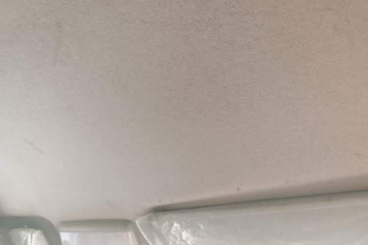 Used Foton Skyworth EV6 2023 Fast and Slow Charging Version Headliner