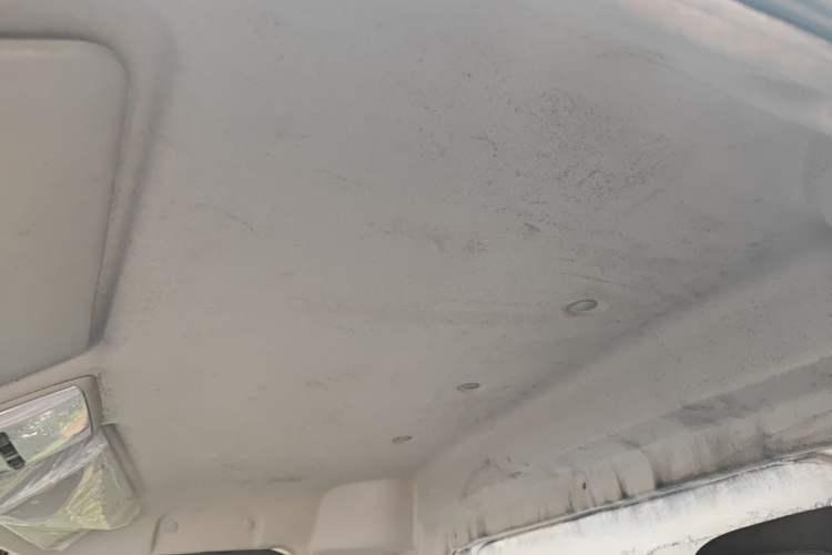 Used Foton Skyworth EV6  Headliner