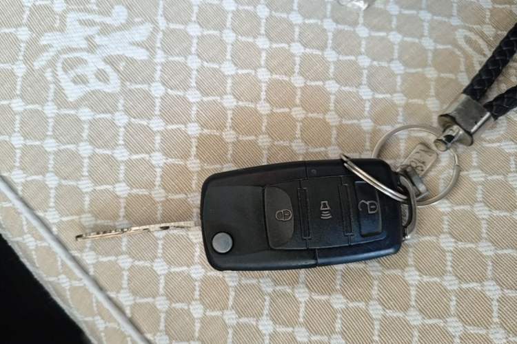 Used Foton Skyworth EV6 2023 Fast and Slow Charging Version Interior 1