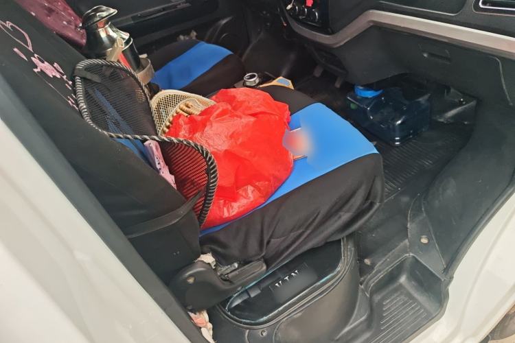 Used Foton Skyworth EV6 2023 Fast and Slow Charging Version Left Rear Seat