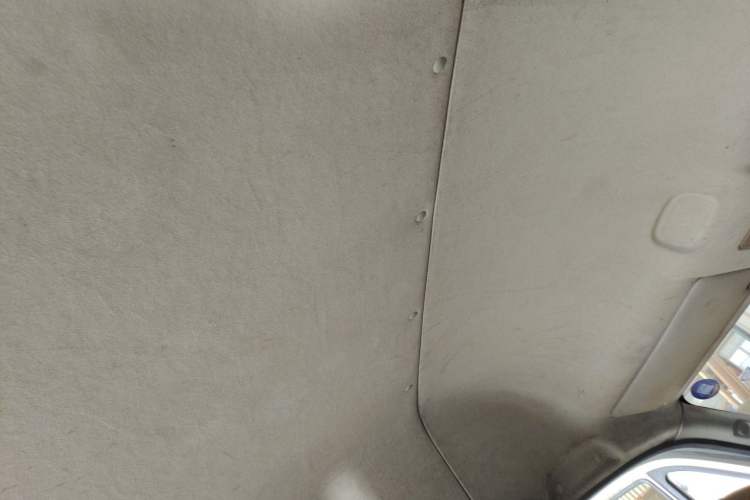 Used Foton Toano  Headliner