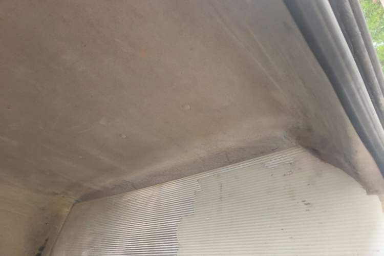 Used Foton Toano 2019 2.5T Mid-Height 4J25TC3 Headliner