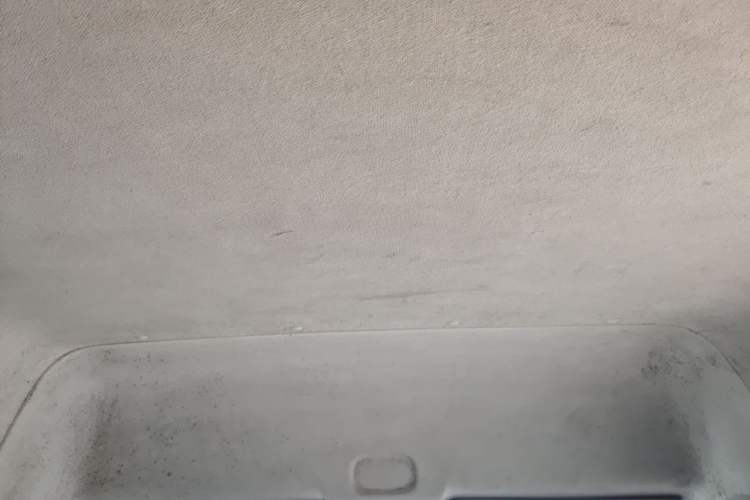 Used Foton Toano 2019 2.5T E Short Wheelbase 5/6-Seater 4J25TC3 Headliner