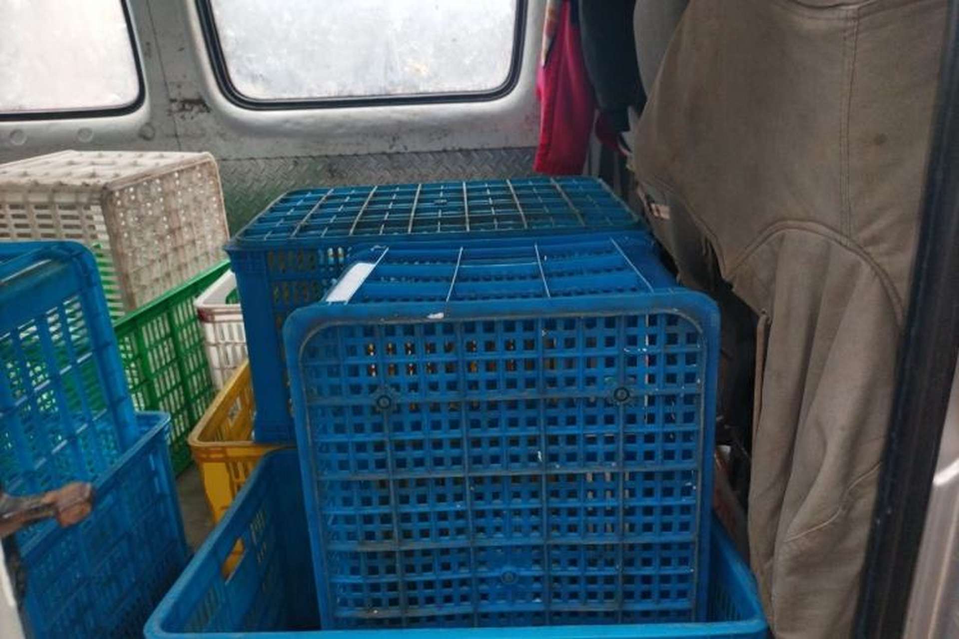 Used Foton Toano 2019 2.5T E54J25TC3 Left Rear Seat