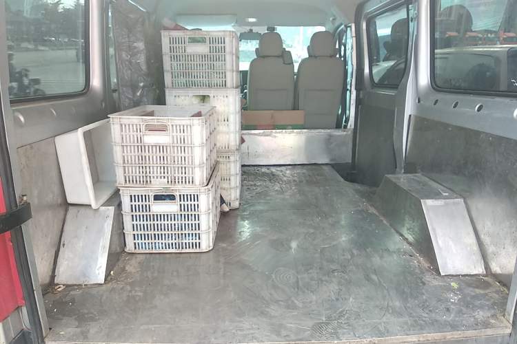 Used Foton Toano 2019 2.5T Multi-Function Short Wheelbase Flat Roof 5-7 Seater 4J25TC3 Trunk