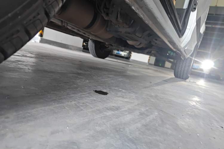 Used Foton Toano 2019 2.5T Flat-Top 5-Seater Open-Window 4J25TC3 Chassis Rear Right
