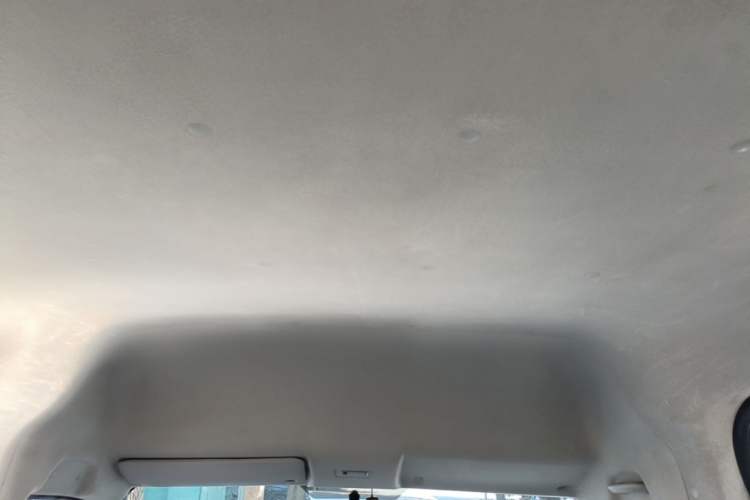 Used Foton Toano 2020 2.5T Manual Tongtu Short Wheelbase Mid-Roof 5/6-Seater 4J25TC3 Headliner