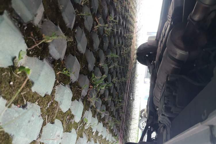Used Foton Toano 2021 2.8T Manual Tongtu Long Wheelbase Mid-Height 5/6/7-Seater F2.8NS6B177L Chassis Rear Right