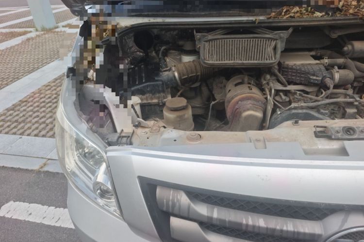 Used Foton Toano 2021 2.0T Manual Tongtu Short Wheelbase Mid-Height 5/6-Seater 4F20TC3 Engine Bay Right