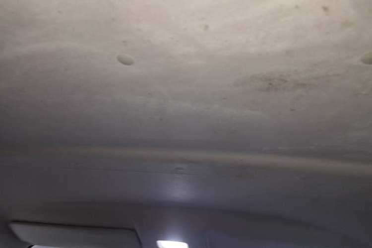 Used Foton Toano 2021 2.0T Manual Tongtu Short Wheelbase Mid-Height 5/6-Seater 4F20TC3 Headliner