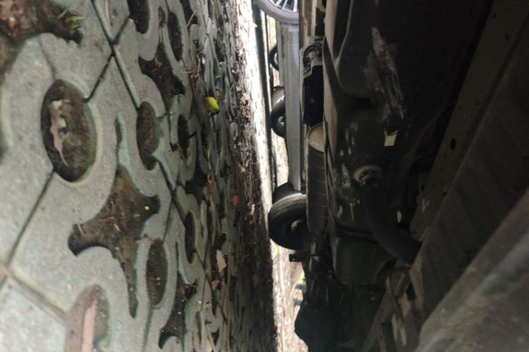 Used Foton Toano 2023 2.0T Manual Jixiang Long Wheelbase Mid-Top Rear Single Tire 7/9-Seater Chassis Front Left