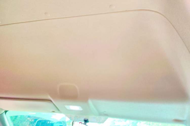 Used Foton Toano  Headliner