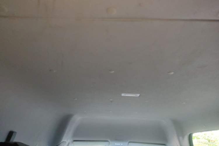 Used Foton Toano 2023 Joy Elephant Multi-Function 2.0T Manual Long-Wheelbase Mid-Roof Model with Single Rear Tire Available in 5/6/7/9-Seater Configurations Headliner