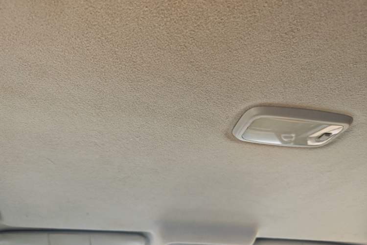 Used Foton Tunland 2013 2.4L Gasoline Two-Wheel Drive Champion Edition 4G69 Headliner