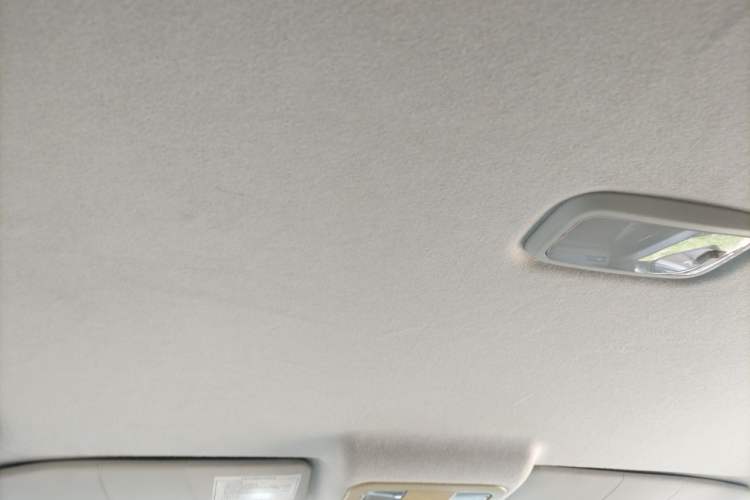 Used Foton Tunland 2018 2.4L E5 Four-Wheel Drive Elite Version 4G69S4M Headliner