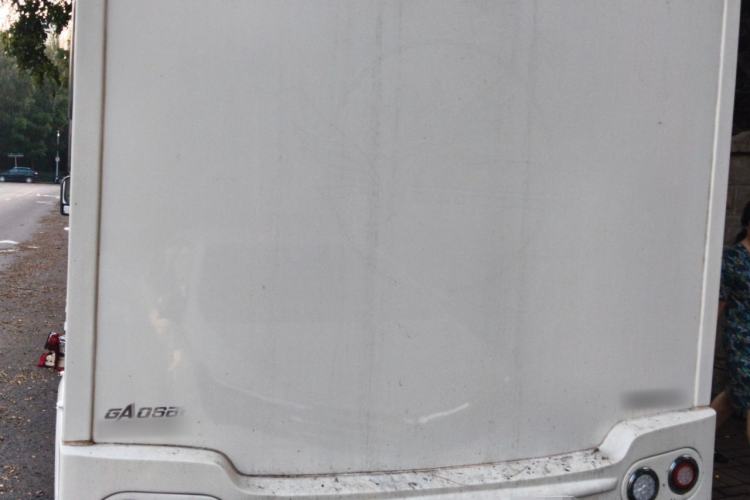 Used Foton Xiangling M  Trunk