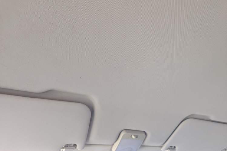 Used Foton Xiangling M  Headliner