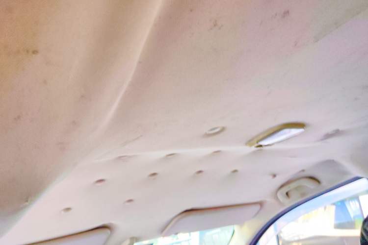 Used GAC Gonow Starry 2013 1.5L Seven-Seater Elite Model Headliner