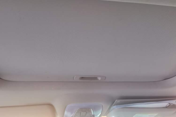 Used GAC Group ix4 2018 Luxury Edition Headliner