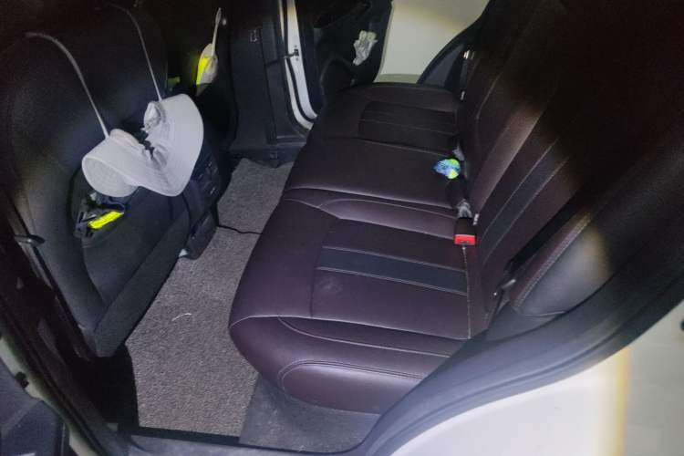 Used GAC Group ix4 2018 Luxury Edition Left Rear Seat