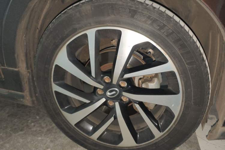 Used GAC Group Qizhi EV 2019 EV530 Smart Drive Edition Exterior 7