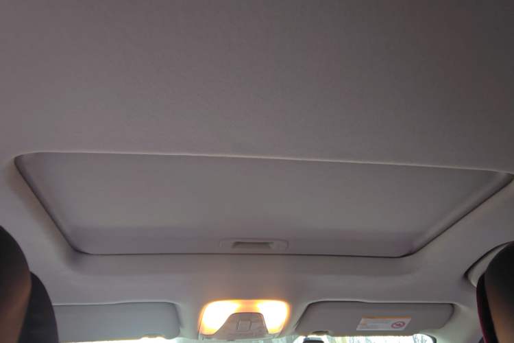 Used GAC Group Qizhi EV 2019 EV530 SharpLine Edition Headliner