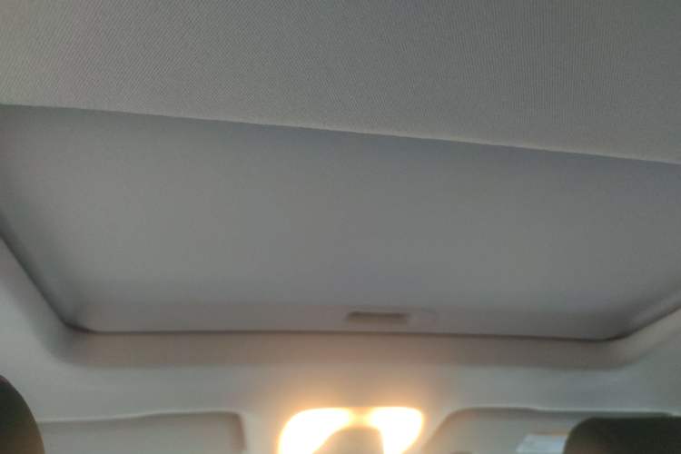 Used GAC Group Qizhi EV 2019 EV530 SharpLine Edition Headliner
