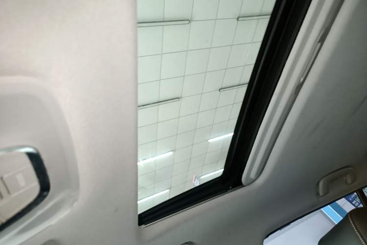 Used GAC Group Qizhi EV 2019 EV530 SharpLine Edition Headliner