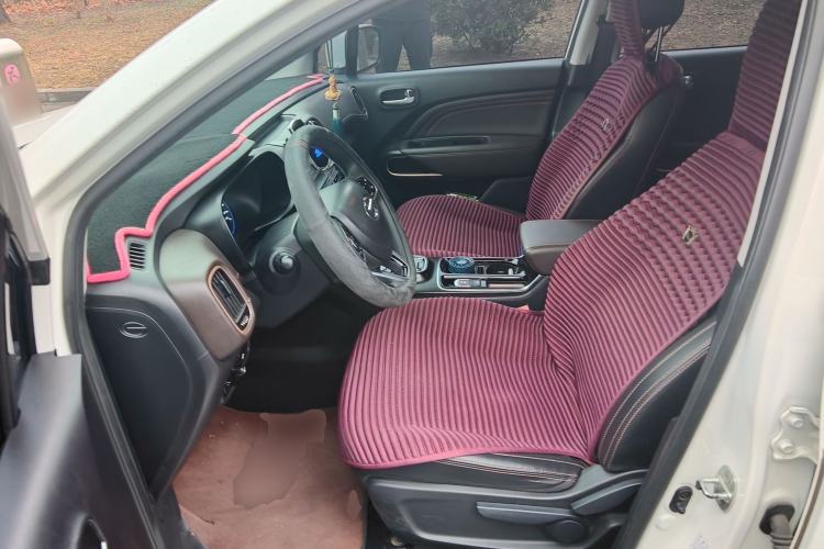 Used GAC Group Qizhi EV 2019 EV530 SharpLine Edition Left Front Seat