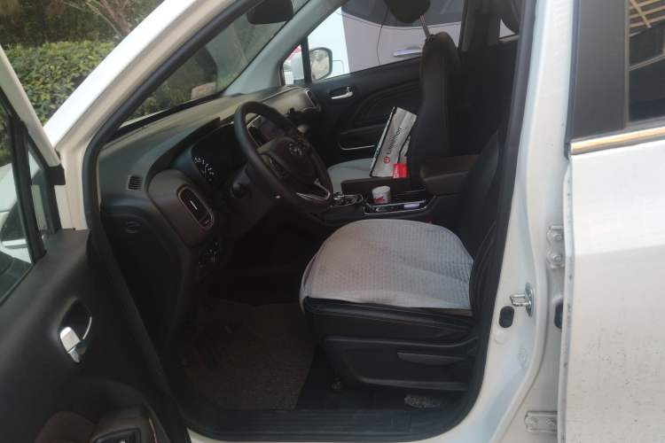 Used GAC Group Qizhi EV 2019 EV530 SharpLine Edition Left Front Seat