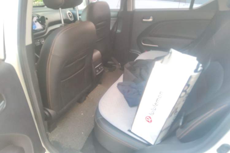 Used GAC Group Qizhi EV 2019 EV530 SharpLine Edition Left Rear Seat