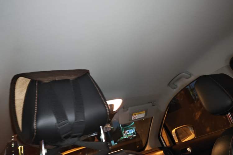 Used GAC Group Qizhi EV 2020 Comfort Edition Headliner