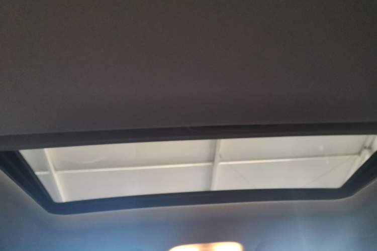 Used GAC Group Qizhi EV 2020 RuiXing Edition Headliner