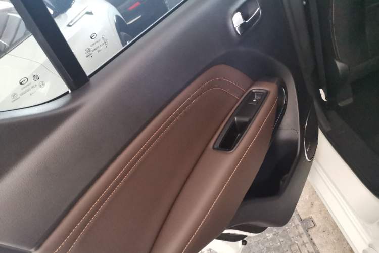Used GAC Group Qizhi EV 2020 RuiXing Edition Left Rear Door Interior