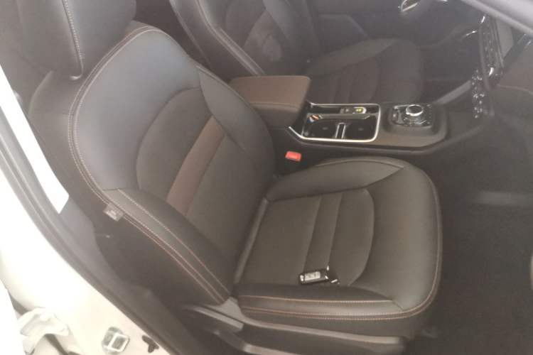 Used GAC Group Qizhi EV 2020 RuiXing Edition Right Front Seat