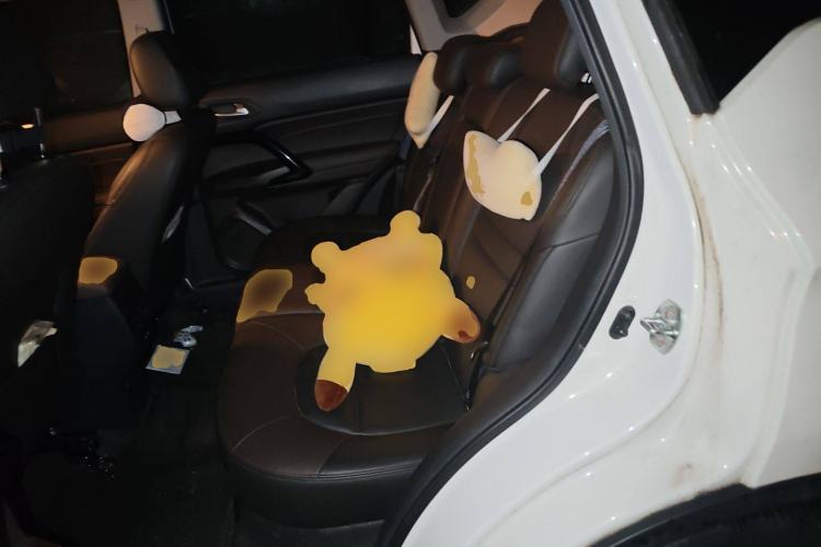 Used GAC Group Qizhi PHEV 2019 1.5L Smart Connect Premium Edition Left Rear Seat