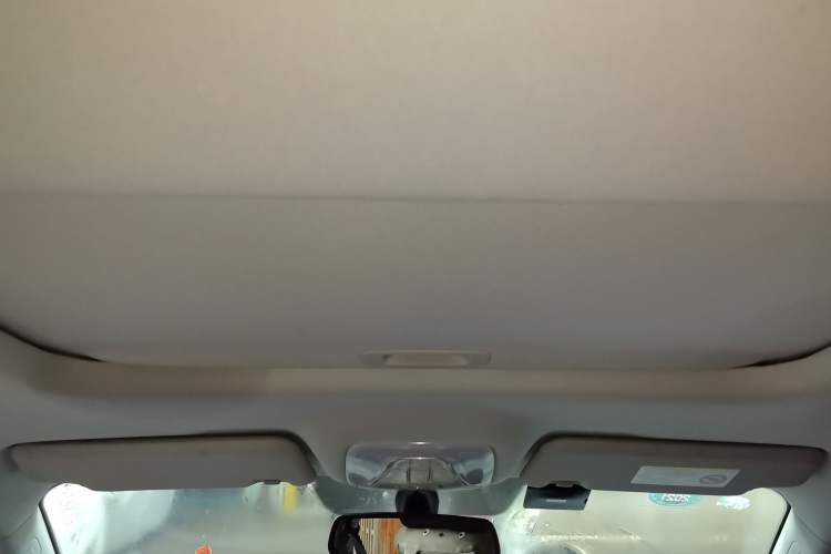 Used GAC Group Qizhi PHEV 2018 1.5L Smart Connect Premium Edition Headliner