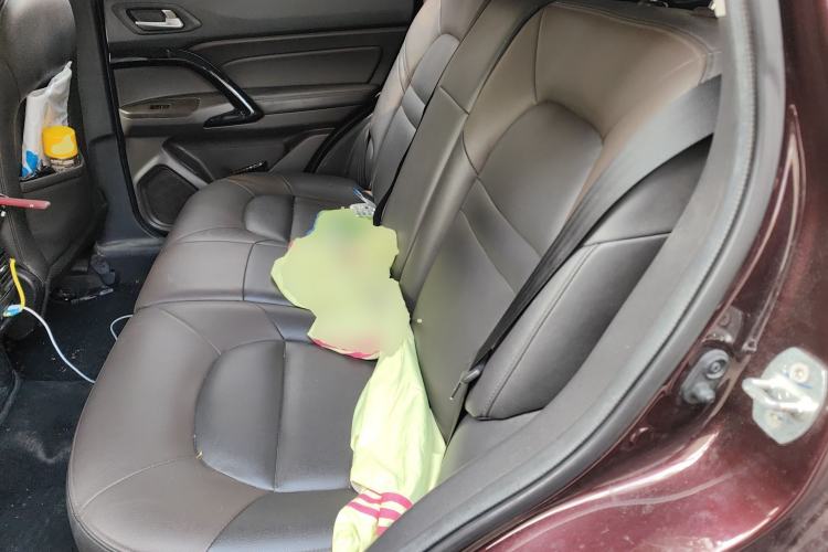 Used GAC Group Qizhi PHEV 2018 1.5L Smart Connect Luxury Edition Left Rear Seat