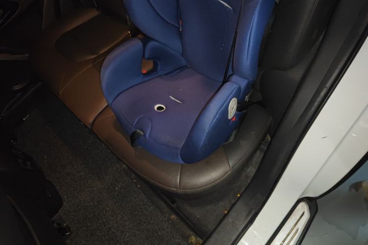 Used GAC Group Qizhi PHEV 2018 1.5L Smart Connect Luxury Edition Left Rear Seat