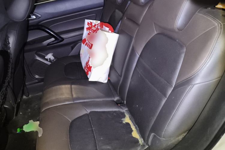 Used GAC Group Qizhi PHEV 2018 1.5L Smart Connect Premium Edition Left Rear Seat
