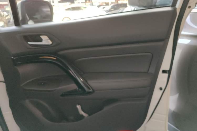 Used GAC Group Qizhi PHEV 2018 1.5L Smart Connect Premium Edition Right Front Door Interior
