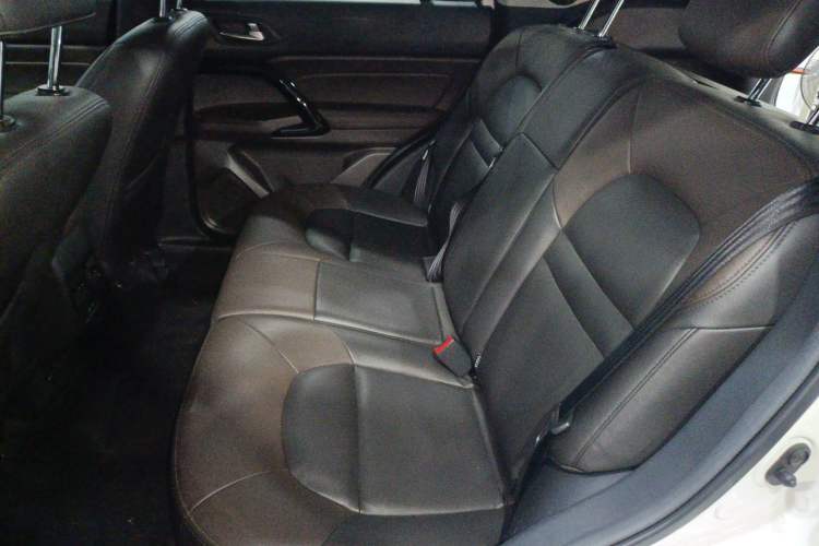 Used GAC Group Qizhi PHEV 2019 1.5L Smart Connect Luxury Edition Left Rear Seat