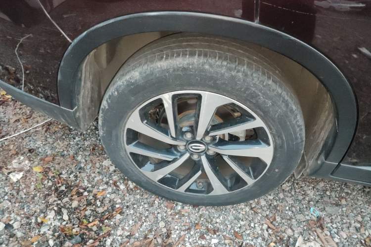 Used GAC Group Qizhi PHEV 2019 1.5L Smart Connect Premium Edition Exterior 8