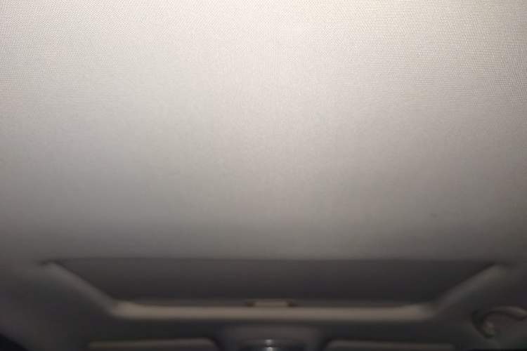 Used GAC Group Qizhi PHEV 2019 1.5L Smart Connect Luxury Edition Headliner