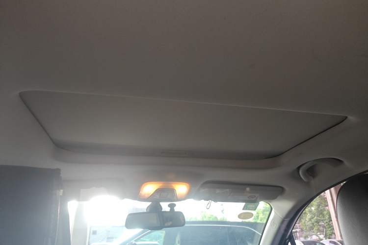 Used GAC Group Qizhi PHEV 2019 1.5L Smart Connect Premium Edition Headliner