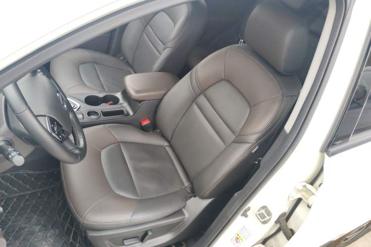 Used GAC Group Qizhi PHEV 2019 1.5L Smart Connect Premium Edition Left Front Seat