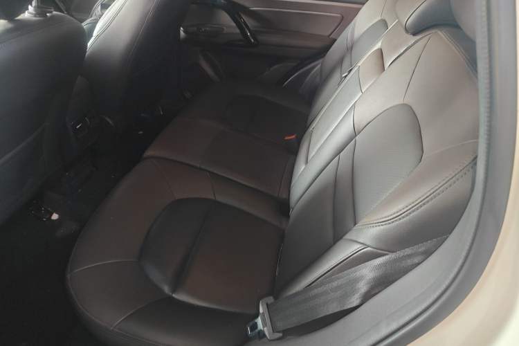 Used GAC Group Qizhi PHEV 2019 1.5L Smart Connect Premium Edition Left Rear Seat
